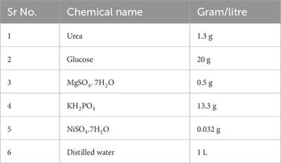 Exploring fungal potential for microbial-induced calcite precipitation (MICP) in bio-cement production